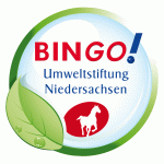 logo Bingo